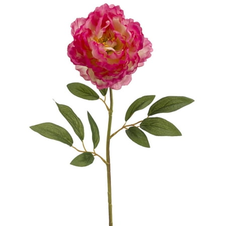Spray Paint For Silk Plants Spray Paint For Silk Plants