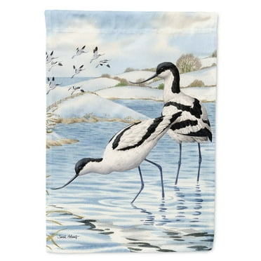 Carolines Treasures ASA2056CHF Avocets Flag Canvas House Size  Large multicolor