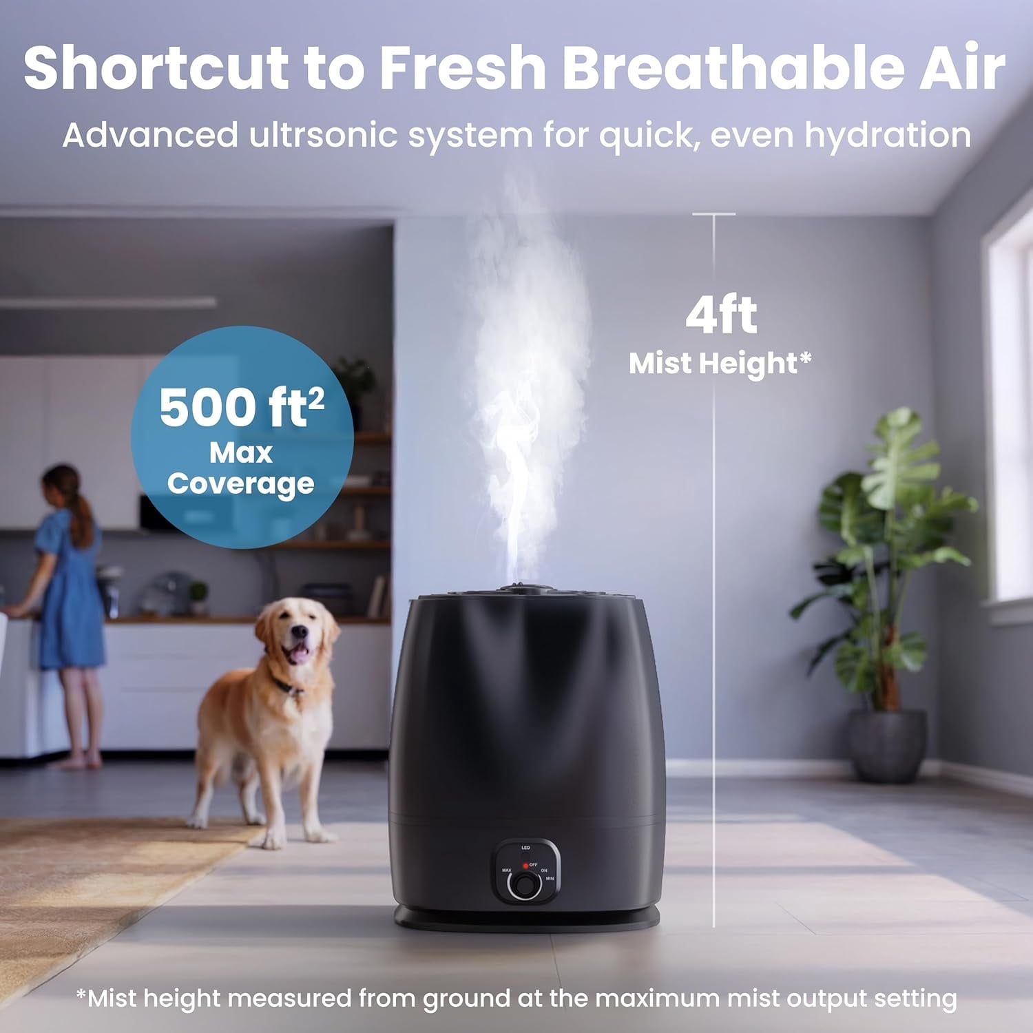 6L Humidifiers for Bedroom, Quiet 50HR Runtime No-Filter Supersized Cool Mist Humidifier Large Room for Whole House, Plants, Baby Nursery, Allergies, Dry Skin, Congestion, Indoor