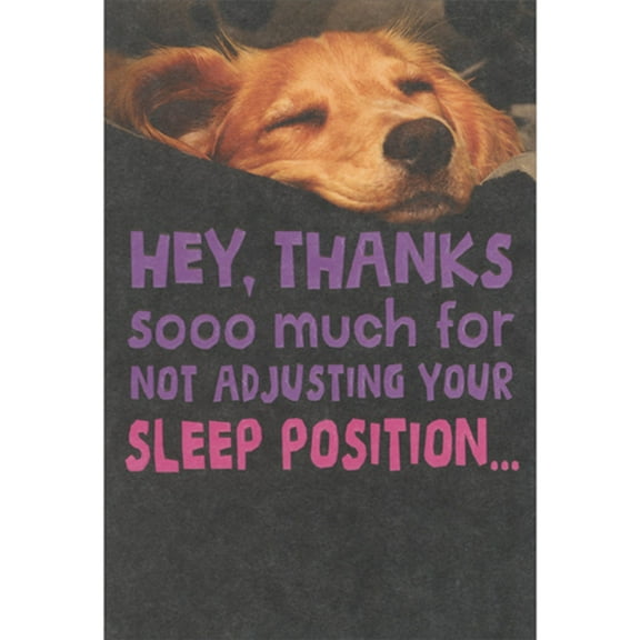 Recycled Paper Greetings Thanks for Not Adjusting Your Sleep Position Humorous / Funny Mother's Day Card From The Dog