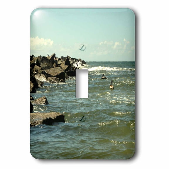 3dRose, Jetty Rocks Inlet Pelican Sky , single toggle switch