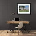 thumbnail image 4 of Peder Mørk Mønsted 24x19 Black Modern Framed Museum Art Print Titled - Spring Landscape (1893), 4 of 5
