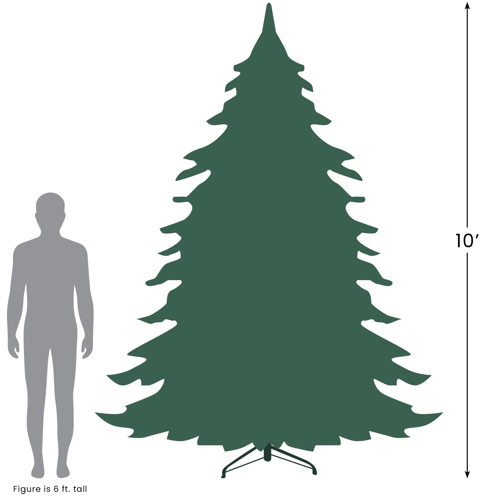 Northlight Clear Prelit Incandescent Green Artificial Canadian Pine Christmas Tree, 10'