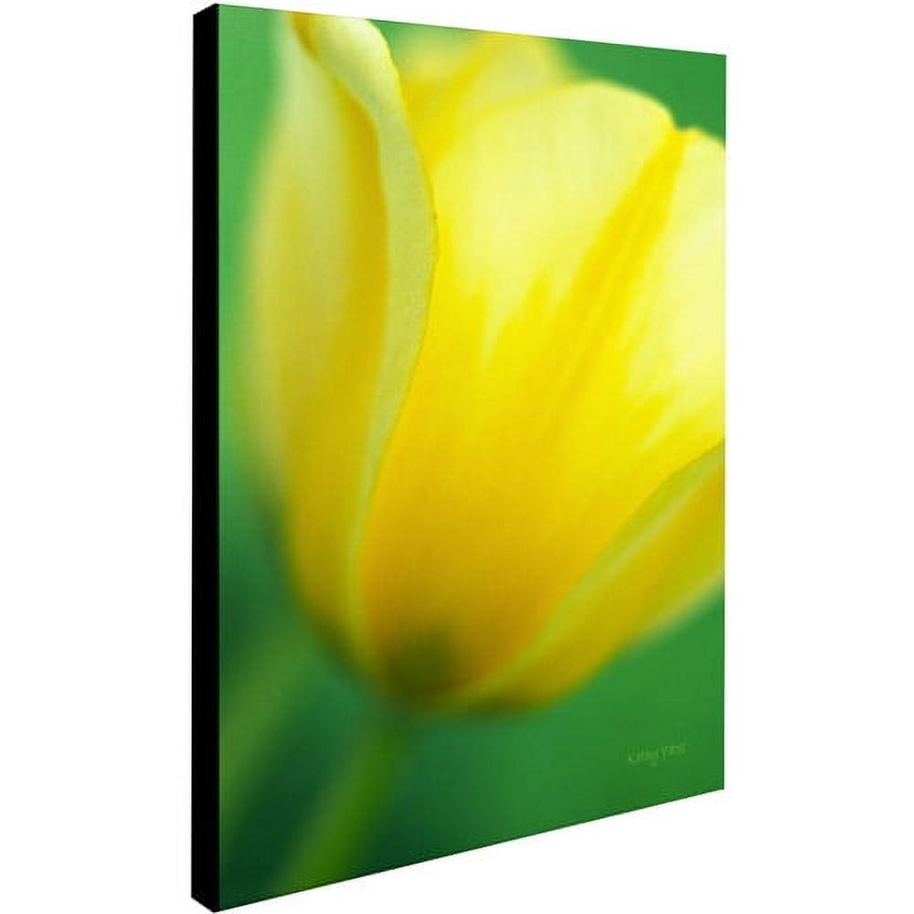 Trademark Fine Art "Hint of a Tulip" Canvas Art by Kathy Yates
