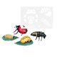 thumbnail image 3 of s realistas del ciclo de animal, herramientas de enseñanza preescolar, educación para niños Mariquita Zulema Ciclo vital, 3 of 7