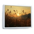 thumbnail image 2 of Designart "Sunset Over Fields" Birds Of Paradise Floater Framed Canvas Art Print, 2 of 5