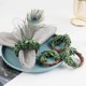 thumbnail image 1 of 6pcs Napkin Rings Green Leaf Napkin Rings Decor Leaf Farmhouse Napkin Holders, 1 of 3