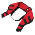 thumbnail image 2 of Dog Rear Leg Braces, Pet Knee Pads Professional Effective  For Sprain Protection For Surgery Healing For Injury For Prevent Dog Licking Wounds HJ26 Red,HJ27 Blue, 2 of 8