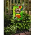 thumbnail image 2 of Carolines Treasures BB1993GF Chocolat Brun Shih Tzu Drapeau de la Saint-Patrick Jardin, 2 of 3
