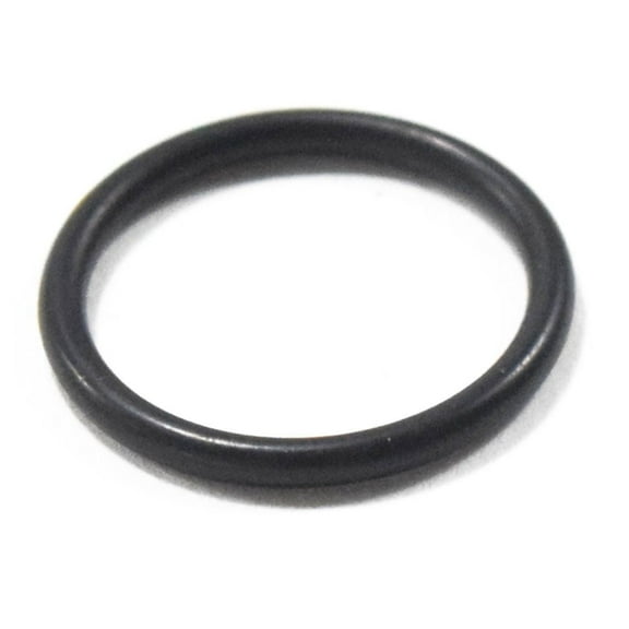 Briggs and Stratton 137B2327GS O-Ring