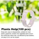 thumbnail image 4 of KAIYANG 100 piezas de clips para plantas de jardín, clips de soporte para plantas para fijar tomates, verduras y pepinos transparentes, 4 of 5