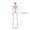 B-1B, variant on MMJ Skeleton Ghost House Decoration Props 15.75in Movable Joints Simulation Human Halloween Indoor Outdoor Spooky Party