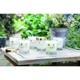 thumbnail image 4 of Candle Floris London con aroma a peonía y rosa 175 g, 4 of 6