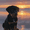 Dog, variant on Rottweiler Dog Portrait Canvas Print Wall Art, Stylish Pet Wall Art for Living Room Bedroom Office Study Home Bar
