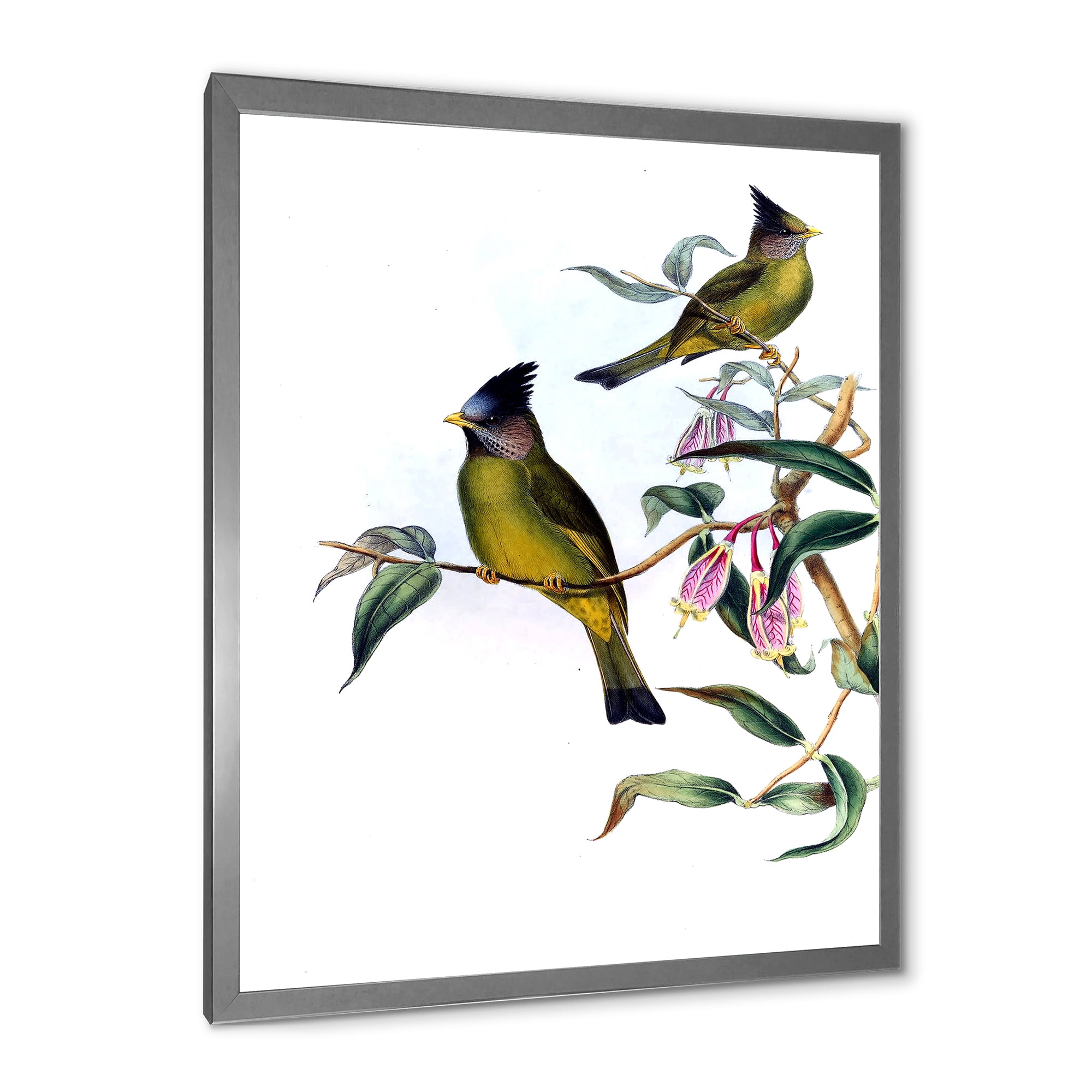 Designart 'Vintage Countryside Birds On Branch II' Farmhouse Framed Art Print