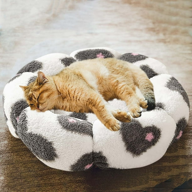 Lisbinx - Cama universal para cuatro estaciones, corta, para mascotas, cómoda y suave, 60 x 60 cm