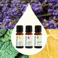 thumbnail image 3 of Plant Therapy Lemon, Lavender and Peppermint Essential Oil Set 10 mL (1/3 oz) 100% Pure, Undiluted, Natural Aromatherapy, 3 of 7