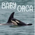 thumbnail image 1 of Baby Orca, Mary Batten Paperback, 1 of 4