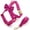 Harness Set, variant on HQREA Female Dog Collar and Leash Set for Large Dogs Personalized Velvet Floral Pet Collar with Leash for Dogs