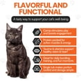 thumbnail image 5 of Cat by Scoochie Sensations Catnip Filled Crunchy Cat Treats, 1CT, 5 of 6