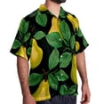 thumbnail image 2 of pear Men's Hawaiian Short Sleeve Printed Button Down Poplin Casual Summer Beach Shirt, Unisex, 2 of 6