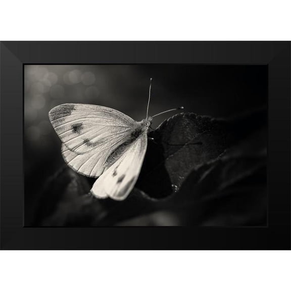 Michael 14x11 Black Modern Framed Museum Art Print Titled - The Escape
