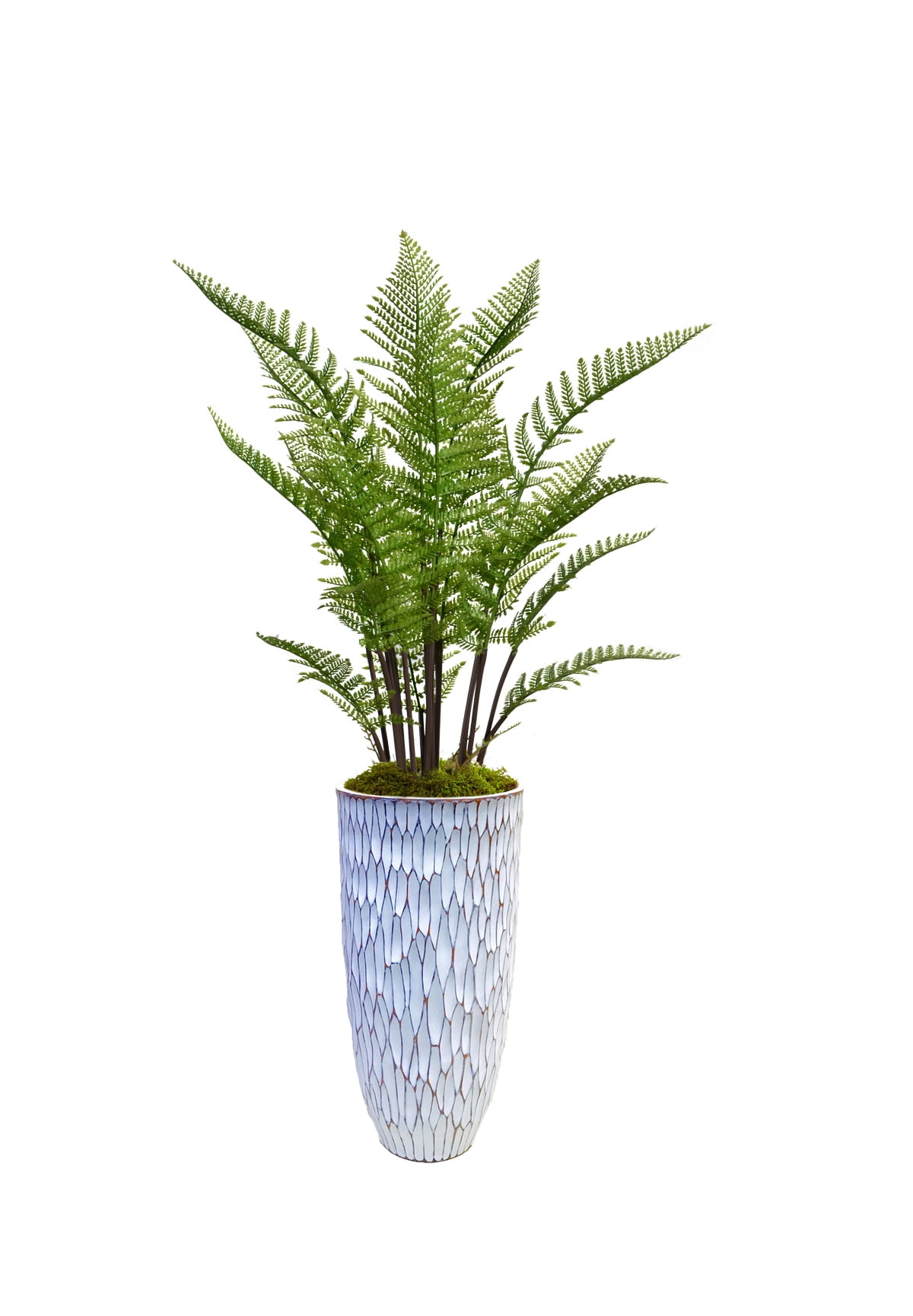MinxNY 61.5" Tall Fern Plant Faux Décor with Burlap Kit in Resin Planter