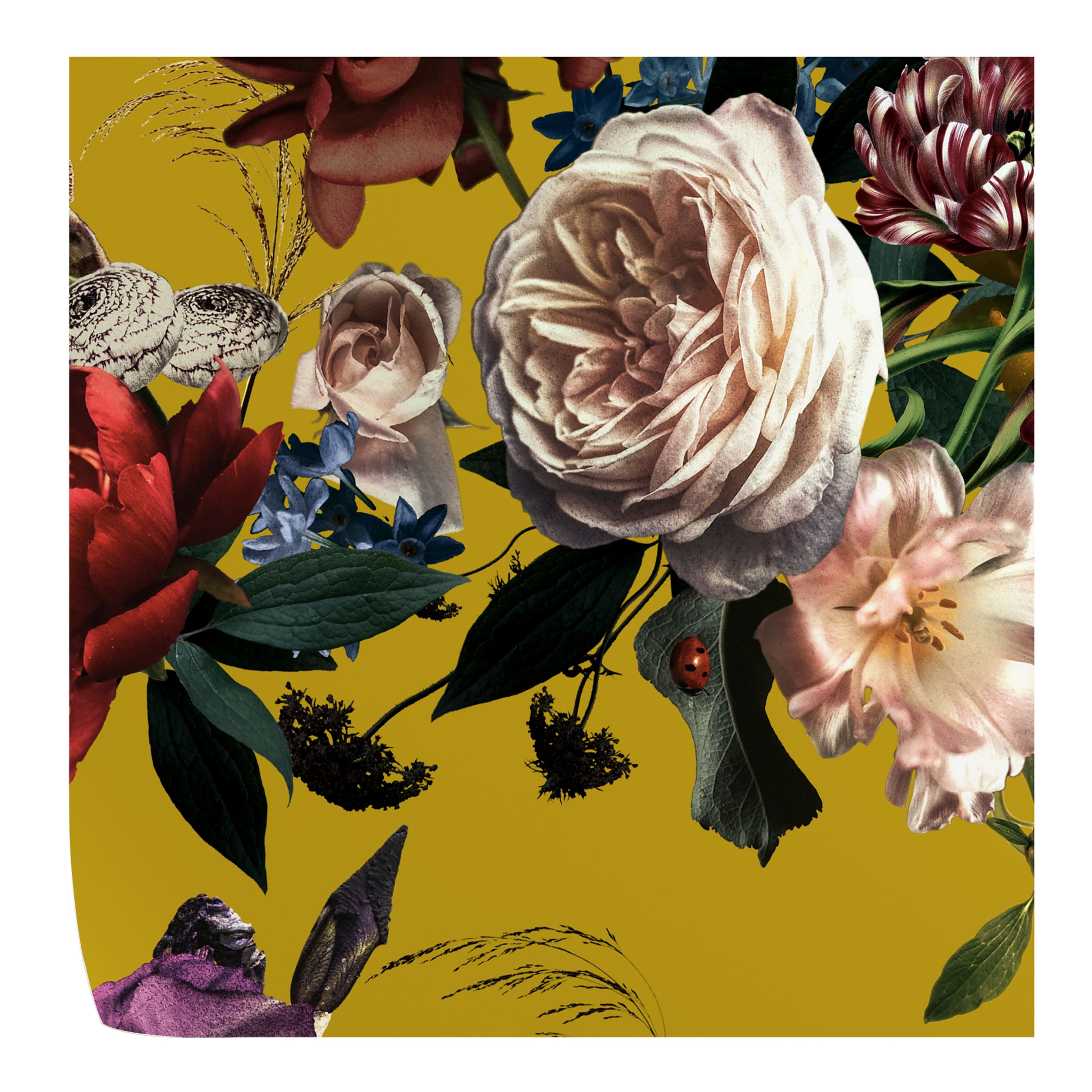 Floral Renaissance Wallpaper