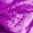 Purple, variant on Kids Girls Boys Metallic Bomber Motor Jacket Hip Hop Jazz Modern Dance Disco Party Performance Tops Red 8