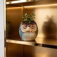 thumbnail image 6 of Cute Owl Ceramic Planter 2.6 Inch, Small Succulent Cactus Flower Pot for Indoor Outdoor Home Office Decor, Animal Style Tabletop Garden Decor Pot Gift, 6 of 6