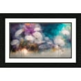 thumbnail image 2 of Stephen Chambers 14x10 Black Ornate Wood Framed With Double Matting Wall Art Titled - Dreamingly Beautiful Transparent 7, 2 of 6