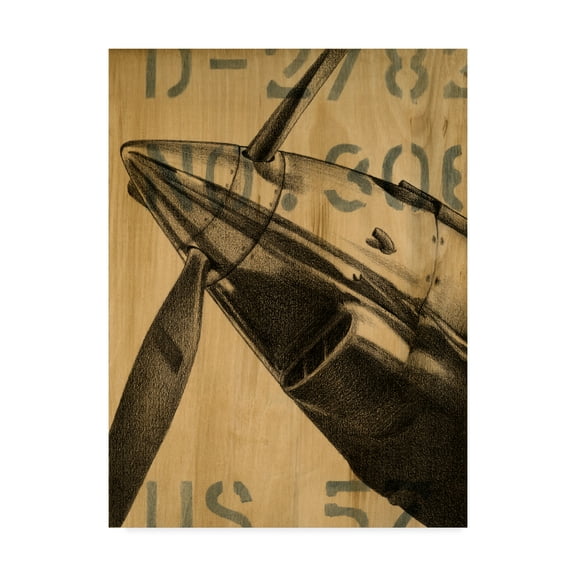 Trademark Fine Art 'Transcontinental II' Canvas Art by Ethan Harper