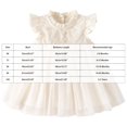 thumbnail image 2 of Tigivemen Toddler Baby Girl Summer Dress with Lace Stylish Ruffle Flutter Sleeve Princess Dresses Party Outfits for Girls Size 3-6 Months, 2 of 4