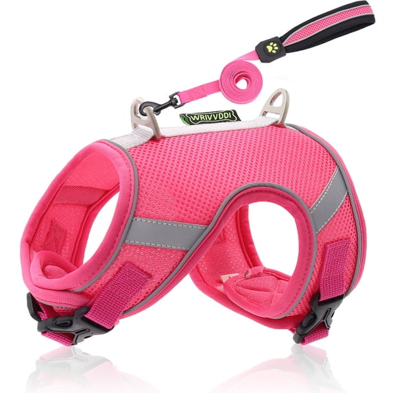 Dog Harness,Soft Mesh Breathable Small Medium Large Dog Chest Harness Strap with Leash Adjustable for Outdoor WalkingTraining Outdoor No Pull A49