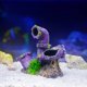 thumbnail image 5 of Aquariums Landscape Water Pipe Resins Aquariums Decorations Art Crafts Terrarium Habitat Ornaments Photo Props, 5 of 5