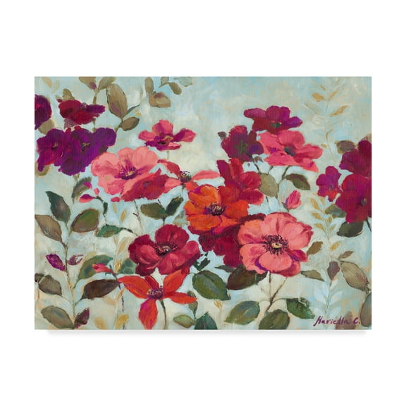 Trademark Fine Art 'Red And Pink Flowers' Canvas Art by Marietta Cohen Art And Design