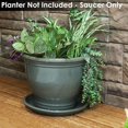 thumbnail image 5 of 12-Inch Ceramic Plant Saucers - Plant Drip Trays for Outdoor Planter Flower Pot Drainage - Set of 2 - Gray, 5 of 14