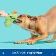 thumbnail image 4 of Juguete Masticable Barkbox BARK Prickly Pete pequeño para Perros y Cachorros, 4 of 7