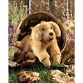 thumbnail image 3 of Marioneta de mano Folkmanis Golden Retriever Puppy Tan, 3 of 3