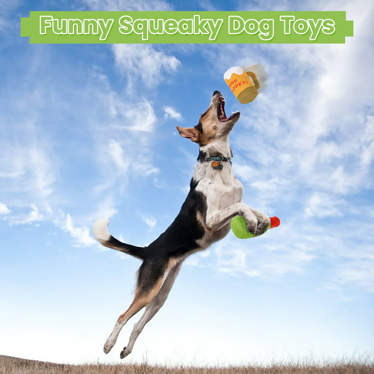Kitsin 2 Pack Squeaky Plush Dog Toys, Unique Shape Dog Chew Toy