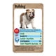 thumbnail image 2 of Top Trumps Card Game Dogs - Juegos familiares para niños y adultos - Juegos de aprendizaje - Juegos de cartas para niños para 2 jugadores y más - Juegos de guerra para niños - Card Wars - Para niños m, 2 of 5