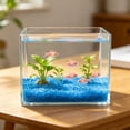 thumbnail image 6 of Glow in The Dark Aquarium Gravel, Luminous Sand Stones for Fish Tank Decoration, Noctilucent Substrate for Freshwater Saltwater Aquarium, Betta Shrimp Tank Aquascape Decor and Underwater Night Scene, 6 of 6