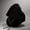Black, variant on Hooded Neck Pillow with Light Blocking, 360° Comfort & Slow Rebound for Travel & Office Naps, Invisible Zipper for Easy Cleaning