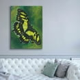 thumbnail image 5 of Epic Graffiti 'Malachite Butterfly' by Barbara Keith, Canvas Wall Art, 40"x54", 5 of 8