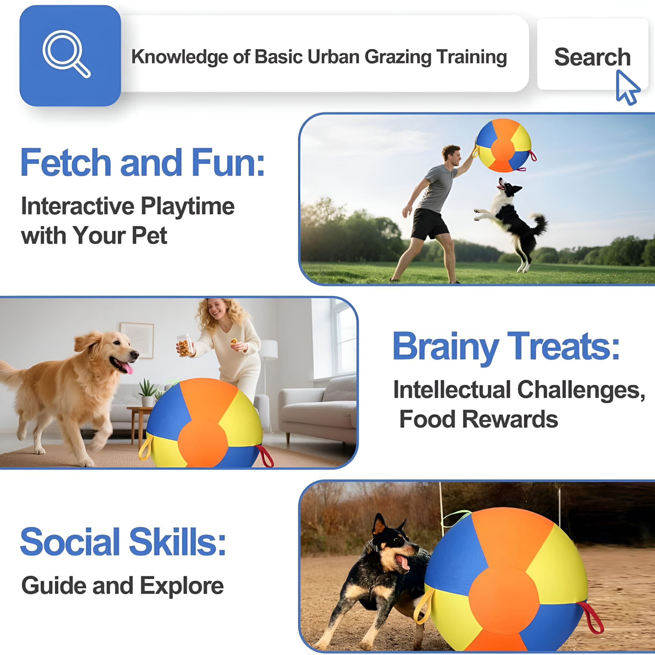 BESTSKY Large Inflatable Herding Ball for Dogs with Pump, Durable Tear-Resistant Dog Exercise Ball 22in, Interactive Outdoor Play Ball for Active Dogs Training Enrichment