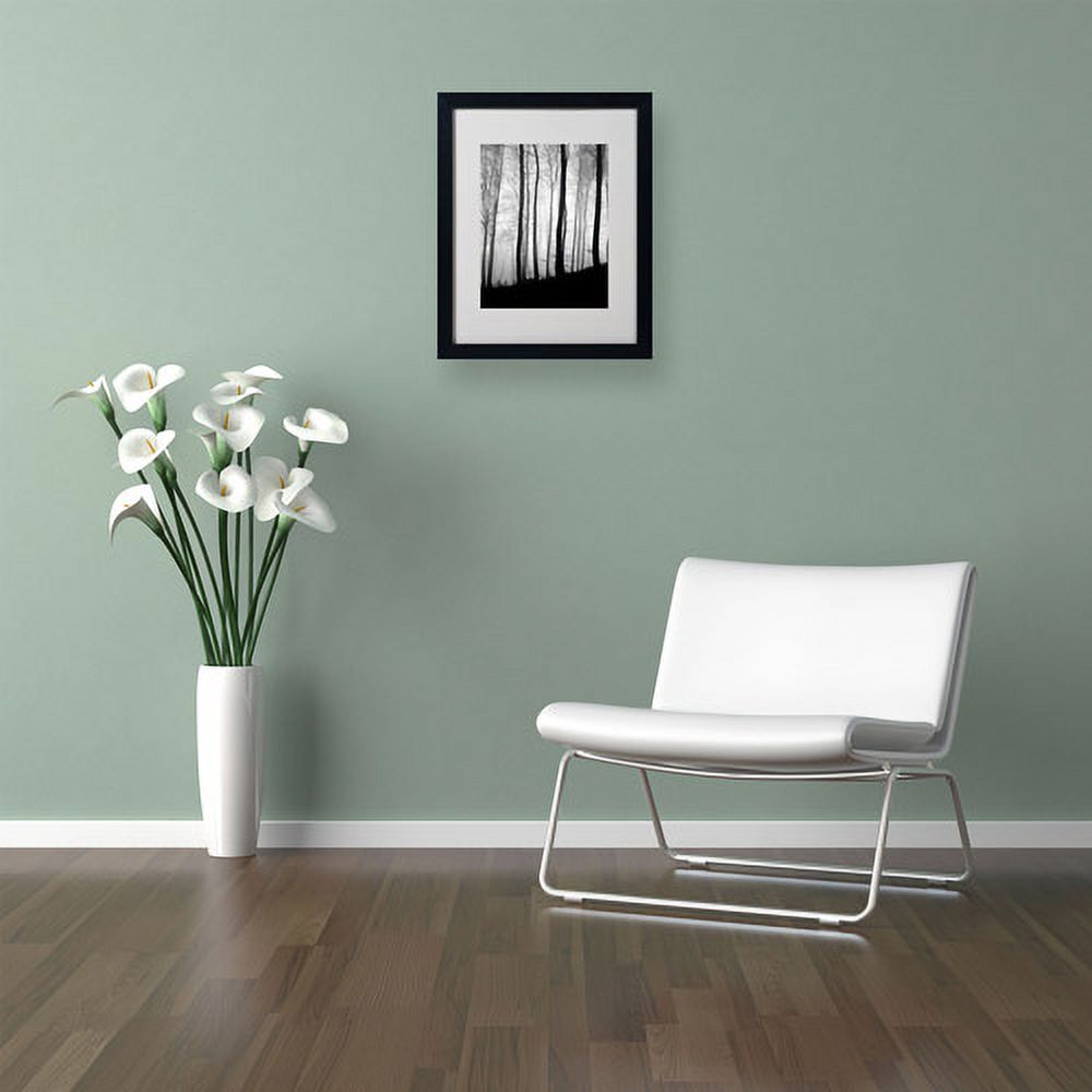 Trademark Fine Art "Black Lines" Canvas Art by Philippe Sainte-Laudy, Black Frame