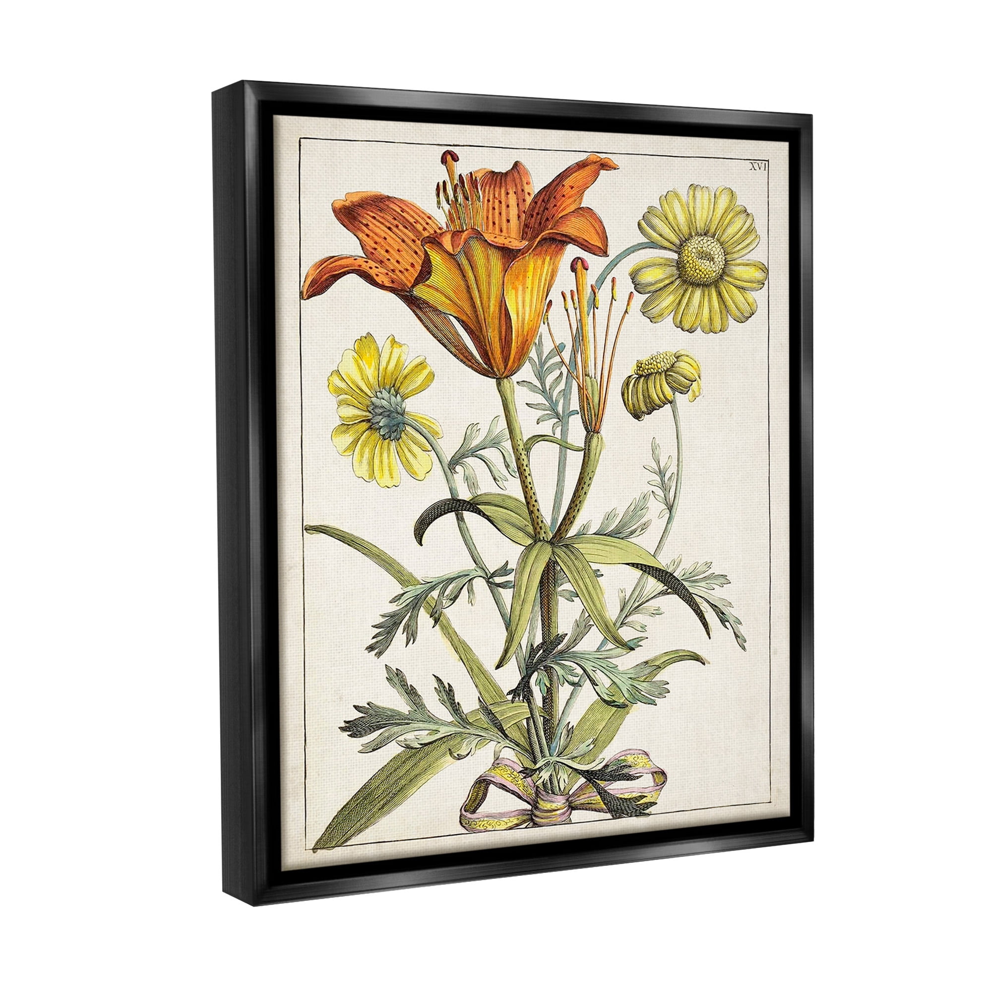 Stupell Industries Flowers Latin Study Botanical & Floral Painting Black Floater Framed Canvas Art Print Wall Art, 17 x 21