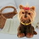thumbnail image 4 of Cute Electronic Pet Dog Función de control de lámpara Sacudiendo cabeza drando, moviendo Animales de peluche para Juguetes Regalos de york CUTICAT Cachorro electrónico, 4 of 6