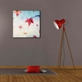thumbnail image 6 of Epic Graffiti 'All Fall Down' by Dawn D Hanna, Giclee Canvas Wall Art, 26"x26", 6 of 6