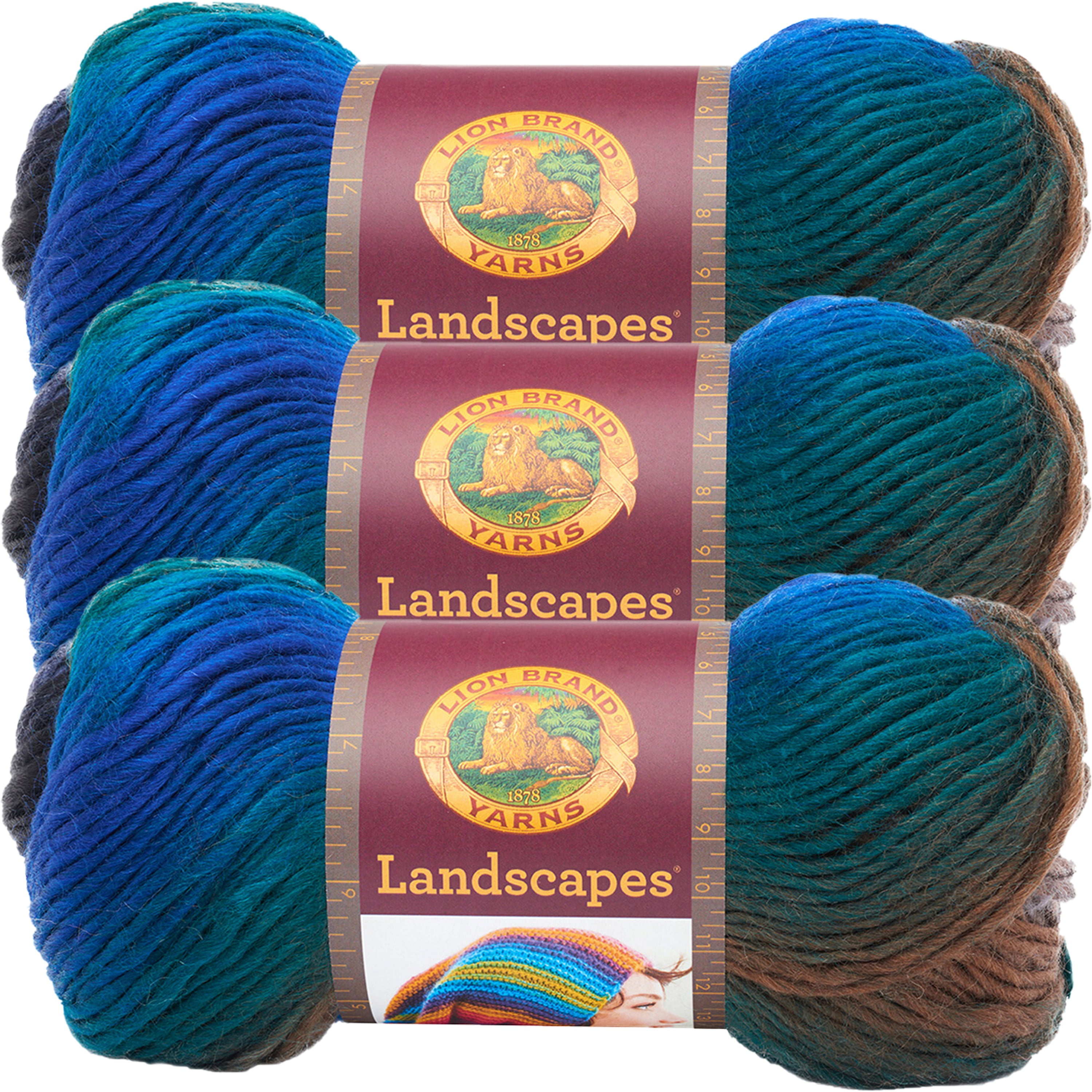 Lion Brand Landscapes YarnSkyline, Multipack Of 3